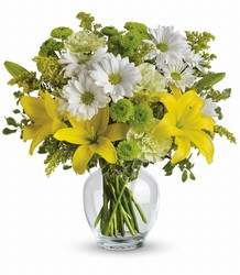 Brightly Blooming<b> from Flowers All Over.com 